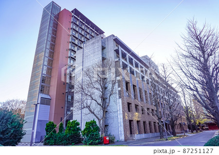 東京大学経済学部 87251127