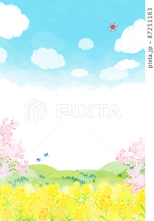 菜の花畑　背景素材　水彩イラスト 87251163