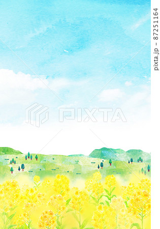 菜の花畑　背景素材　水彩イラスト 87251164