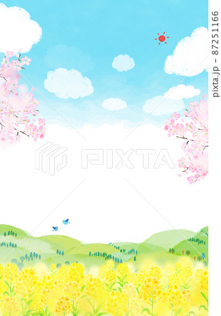 菜の花畑　背景素材　水彩イラスト 87251166