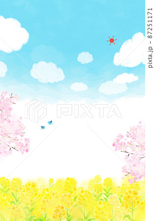 菜の花畑　背景素材　水彩イラスト 87251171