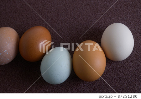 卵いろいろ 87251280