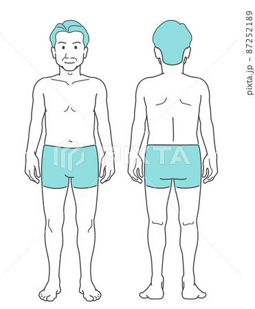男性 中年 ミドル 全身 体型 標準 前後 正面 背面 87252189