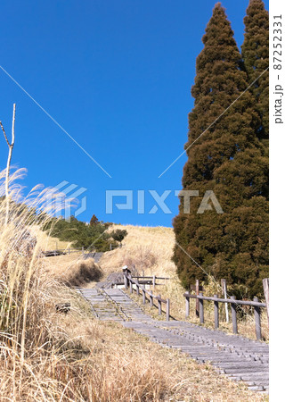 霧島神話の里公園 枯れ草と遊歩道の階段 87252331