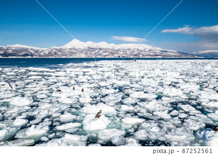 羅臼岳と流氷 87252561