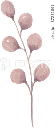 Pink flowers and feature watercolor boho style illustration. Watercolour Pink Beige floral isolated element png 87252891