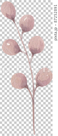Pink flowers and feature watercolor boho style illustration. Watercolour Pink Beige floral isolated element png 87252891