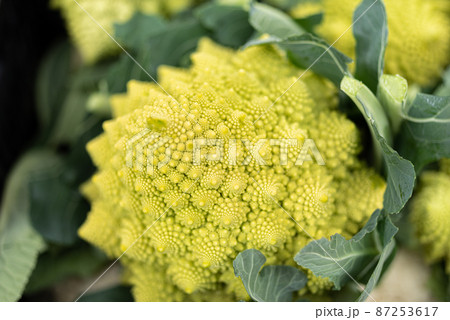 不思議な形の野菜　ロマネスコ 87253617