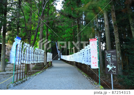 【和歌山県】熊野本宮大社の参道 87254315