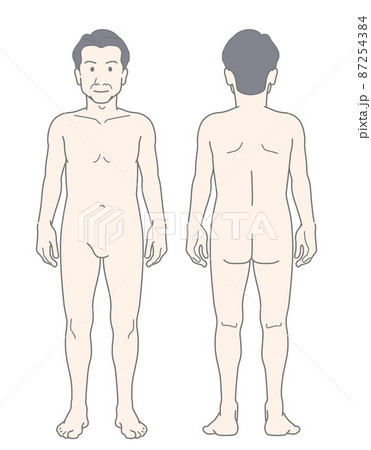 中肉中背 男性 中年 ミドル 全身 裸体 ヌード イラスト 87254384