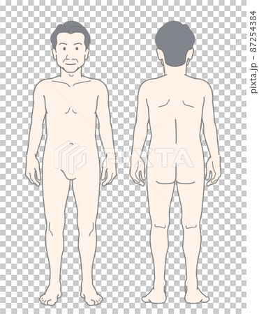 中肉中背 男性 中年 ミドル 全身 裸体 ヌード イラスト 87254384