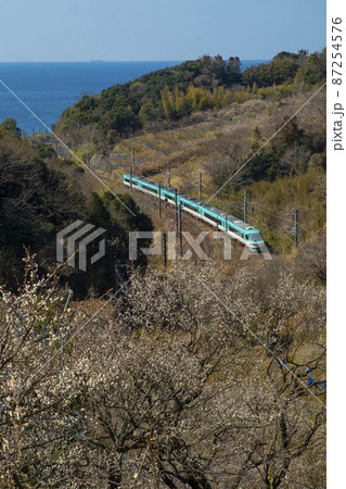 海と梅と283系特急くろしお号 87254576