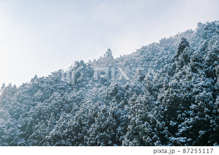 名草雪景 87255117