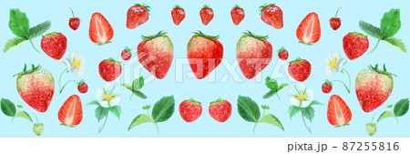 フレッシュな苺と白い花と植物の水彩画イラスト フレッシュな苺と白い花と植物の水彩画イラスト 87255816
