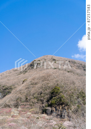 麓から見た幕山（幕山公園） 87257583