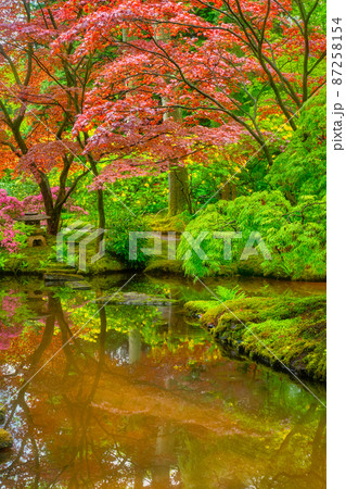 Japanese garden, Park Clingendael, The Hague, Netherlands 87258154