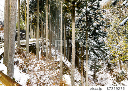 東京都西多摩郡桧原村　雪景色 87259276