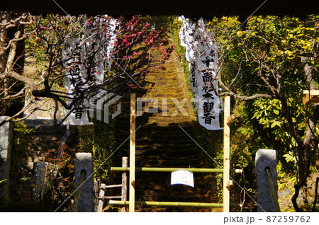 鎌倉最古のお寺　杉本寺 87259762