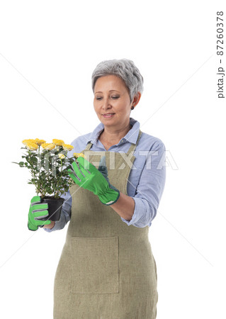 Gardener or florist with flower Gardener or florist with flower 87260378