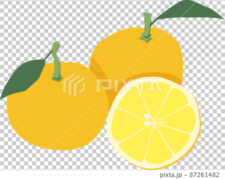 Rutaceae citrus, an illustration of a cross section of a citron with two leaves and a citron 87261482