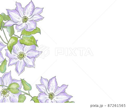 夏の青い花　クレマチス　左下フレーム 87261565