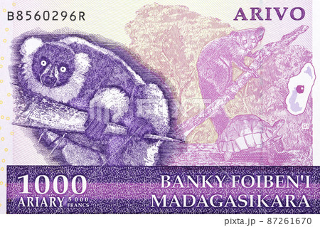 Endemic animals from old Malagasy money Endemic animals from old Malagasy money 87261670