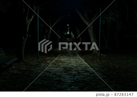 dark alley in the park, barely lit by the light of rare lanterns 87263147
