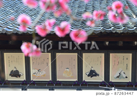 京都市北野天満宮の三十六歌仙と可憐な紅梅 87263447