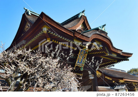 京都市北野天満宮の絢爛豪華な三光門と白梅が美しい 87263456