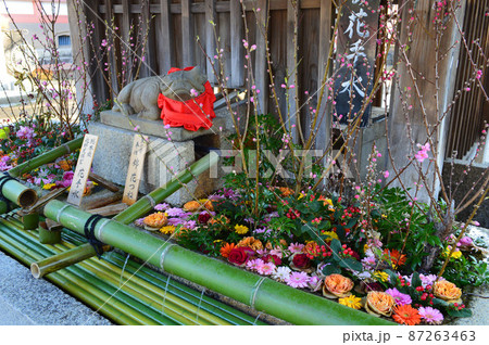 梅の名所京都市北野天満宮の花手水が綺麗 87263463