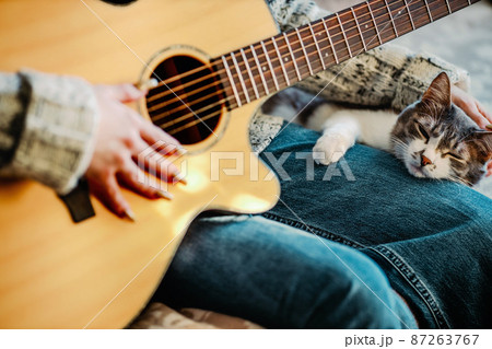 Girl sits on couch in room and plays guitar for cat. Friendship and love for pet. Warm friendly home Girl sits on couch in room and plays guitar for cat. Friendship and love for pet. Warm friendly home 87263767