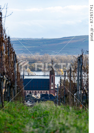 Church on vineyard with river Church on vineyard with river 87265741