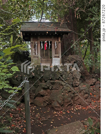 杵築大社（武蔵野） 87267220