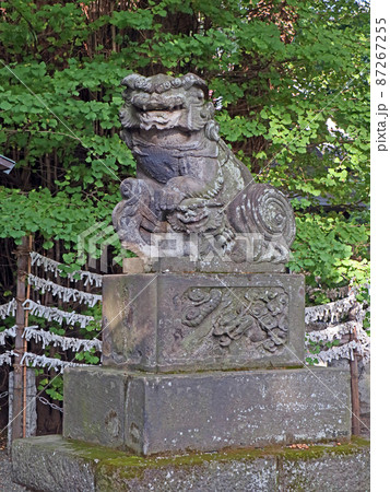 杵築大社(武蔵野) 杵築大社(武蔵野) 87267255