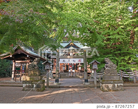 杵築大社（武蔵野） 87267257