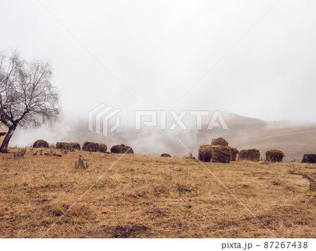 Haystacks in a field located in a foggy highlands. Autumn country landscape of the Caucasus Haystacks in a field located in a foggy highlands. Autumn country landscape of the Caucasus 87267438