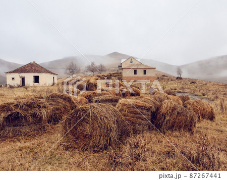 Alpine field with many haystacks located around old abandoned houses against the backdrop of mystical cloudy fog 87267441