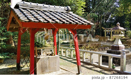 熊野神社　野田町　出水市　鹿児島県 87268194