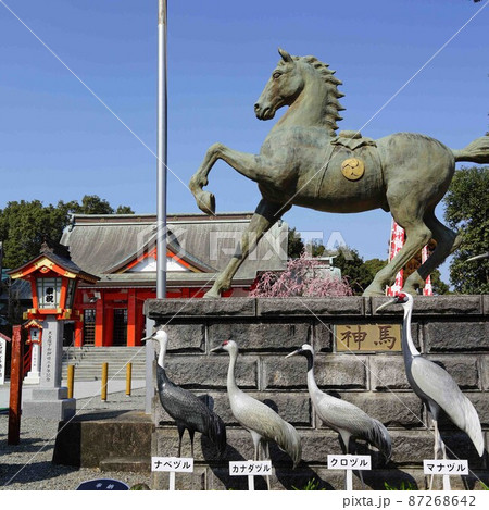 箱崎八幡神社 日本一の大鈴 紅梅の咲くころ 出水市 鹿児島県 箱崎八幡神社 日本一の大鈴 紅梅の咲くころ 出水市 鹿児島県 87268642