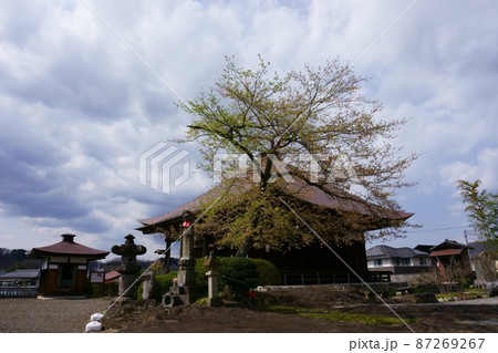 2742 秩父34ヶ所観音霊場19番札所 龍石寺 2742 秩父34ヶ所観音霊場19番札所 龍石寺 87269267