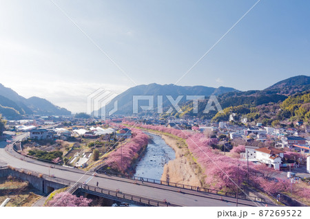 青空と河津桜　ドローン空撮 87269522
