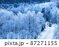 霧氷の中を走る根室本線 87271155