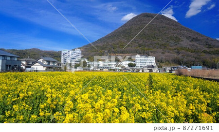 飯野山と菜の花畑【香川県丸亀市飯山町】 87271691