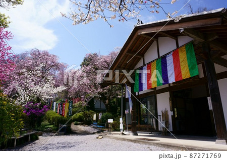 2753　秩父34ヶ所観音霊場23番札所　音楽寺 87271769