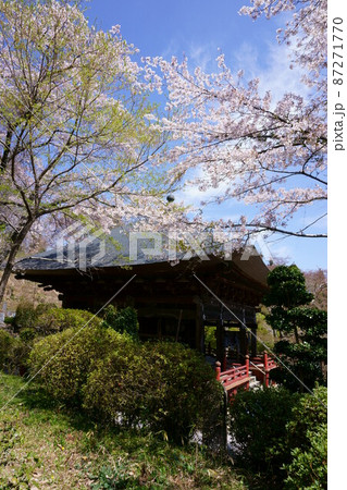 2752　秩父34ヶ所観音霊場23番札所　音楽寺 87271770