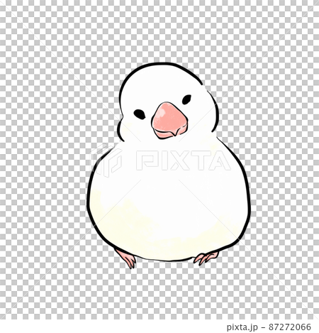 正面手繪白色爪哇麻雀 正面手繪白色爪哇麻雀 87272066