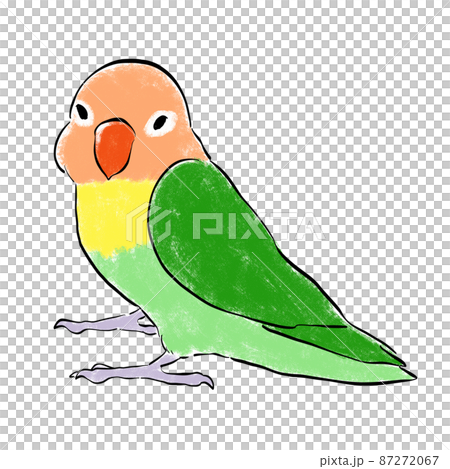 手繪綠色鈕扣長尾小鸚鵡面向這裡 手繪綠色鈕扣長尾小鸚鵡面向這裡 87272067