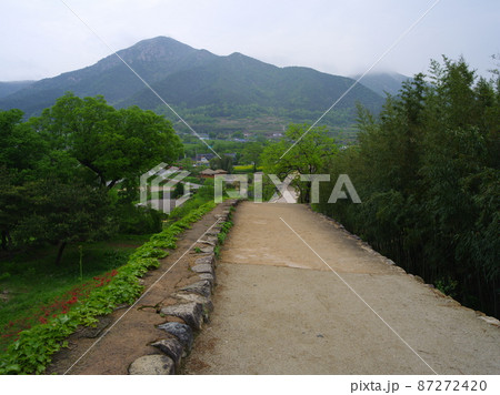 菜種 屋外 景色 87272420