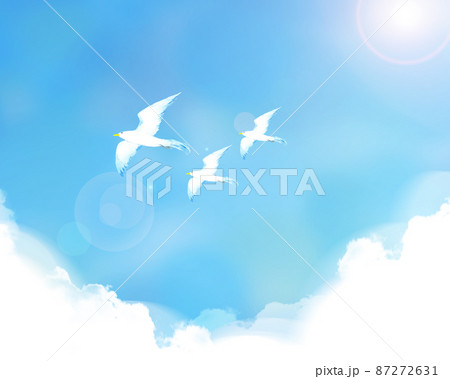青空を飛ぶ鳥の風景イラストのイラスト素材 [87272631] - PIXTA