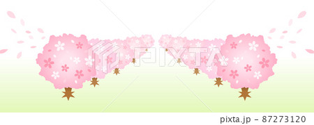 はるか遠くへ続く桜並木 入学式と卒業式 87273120